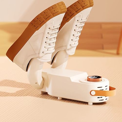 Electric shoe dryer