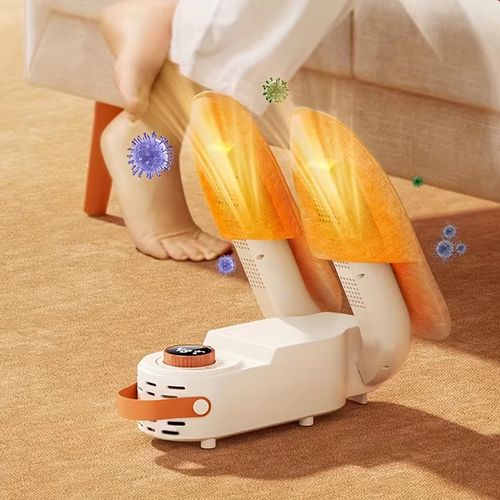 Electric shoe dryer