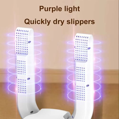 Electric shoe dryer