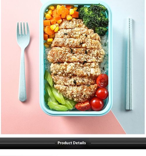 Silicone Pre-Meal Box Foldable Foldable food storage box container with air tight snap top cover