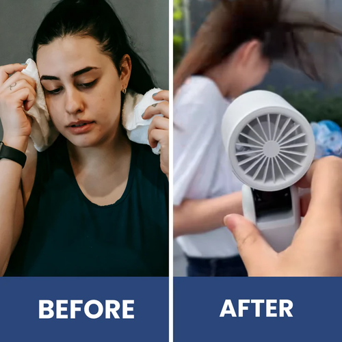 Portable Refrigerated Fan