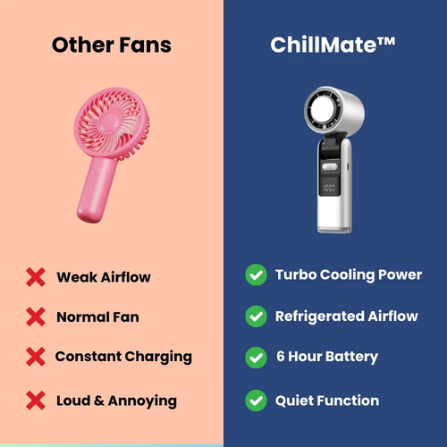 Portable Refrigerated Fan