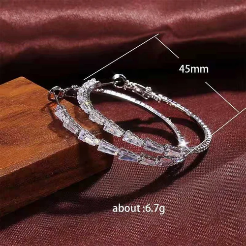 ⏳Time-Limited Special⏰Women's Sparkling Cubic Zirconia Hoop Earrings