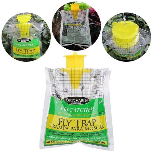 Fly trap