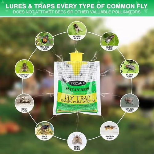 Fly trap