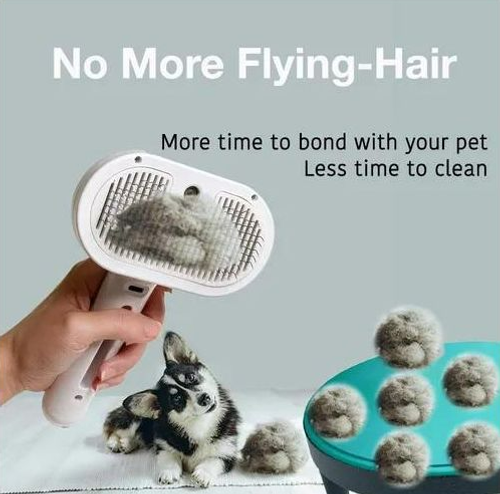 Natural Bristle Brushes: A Must-Have for Pet Owners