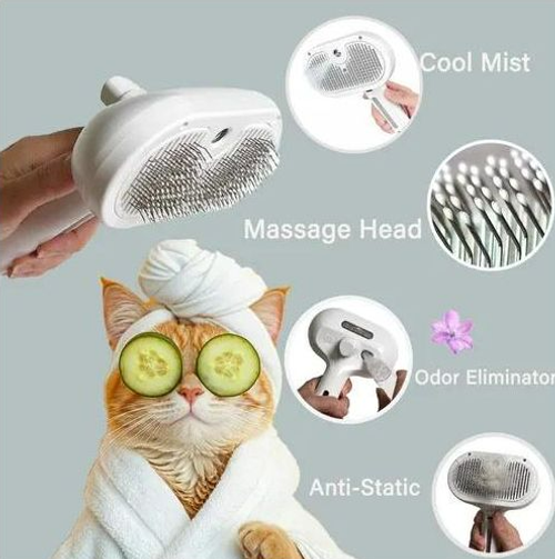 Natural Bristle Brushes: A Must-Have for Pet Owners