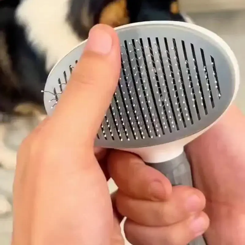 Natural Bristle Brushes: A Must-Have for Pet Owners