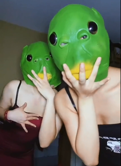 🤩Hot Selling Role Play Carnival Party Masks Masquerade Green Fish Latex Halloween Animal Headwear
