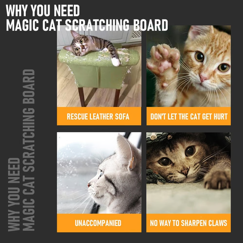 Magic Organ Cat Scratching Board