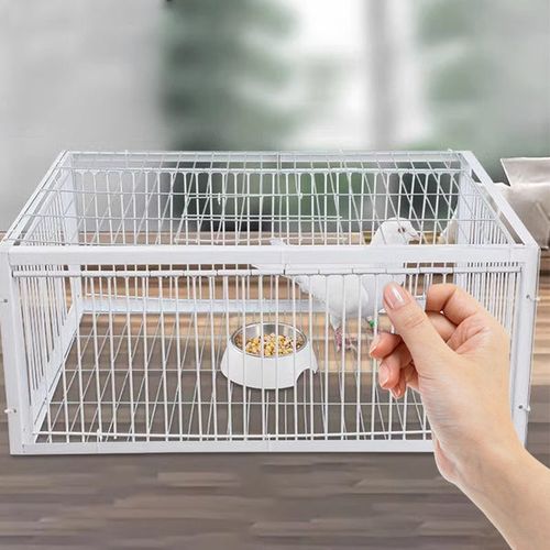 (4 entrances) AutoTrap Bird Cage - Entry Only, No Exit