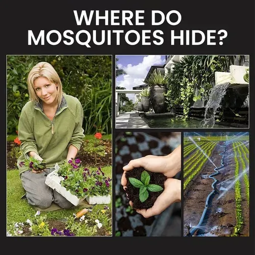🔥Solar Mosquito Repellent Lamp Stake