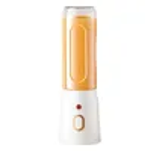 Multifunctional portable juicer