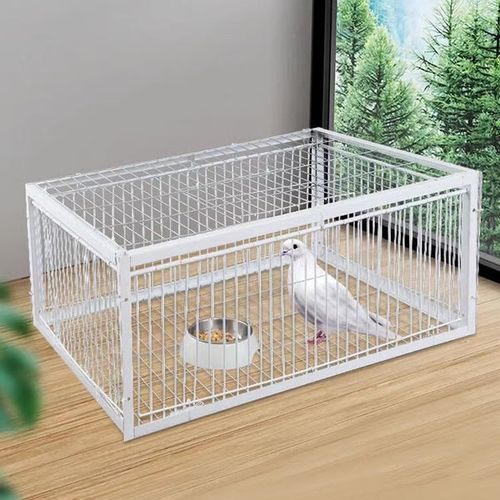 (4 entrances) AutoTrap Bird Cage - Entry Only, No Exit