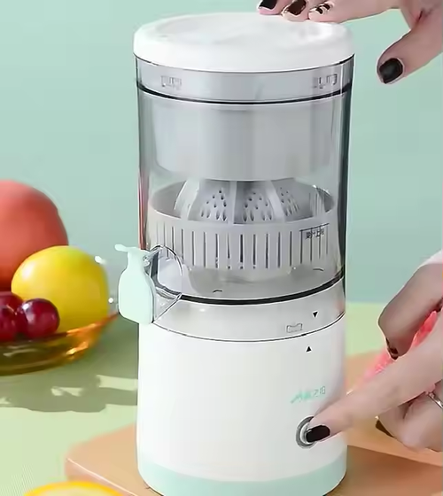 Portable multifunctional juicer