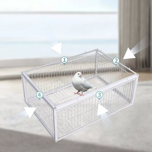 (4 entrances) AutoTrap Bird Cage - Entry Only, No Exit