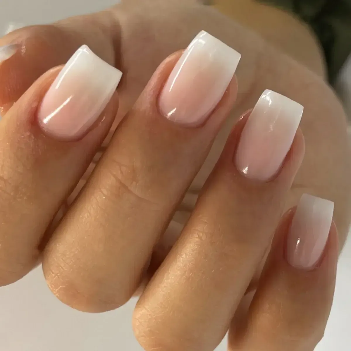 Minimalist Chic. Maximum Durability