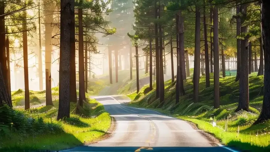 productThumbnail