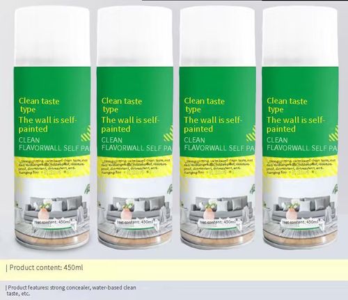 Spray paint 800ML bottle