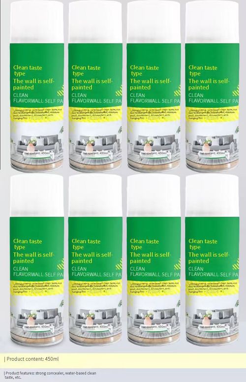 Spray paint 800ML bottle