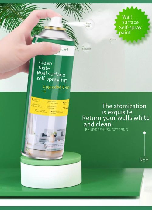 Spray paint 800ML bottle