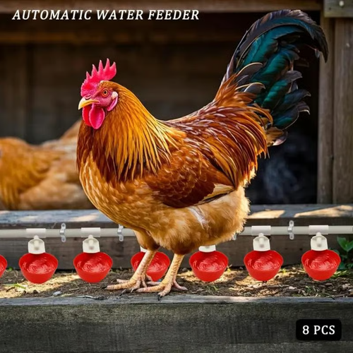 🔥Buy 3 get 3 free (6 PCS)🔥Chicken Waterer Cups, Automatic Chicken Watering System