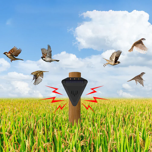 ⏳Begrenzte Zeit 50% Rabatt💥Wasserdichter Solar-Vogelabwehr für den Außenbereich