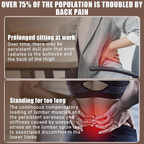 Pro Spine Twist Trainer - Digital Timer Home Gym Equipment for Core Strengthening Waist Toning Back Pain Relief Leg Stretching