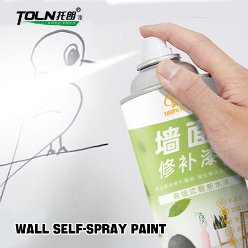 Spray paint 800ML bottle