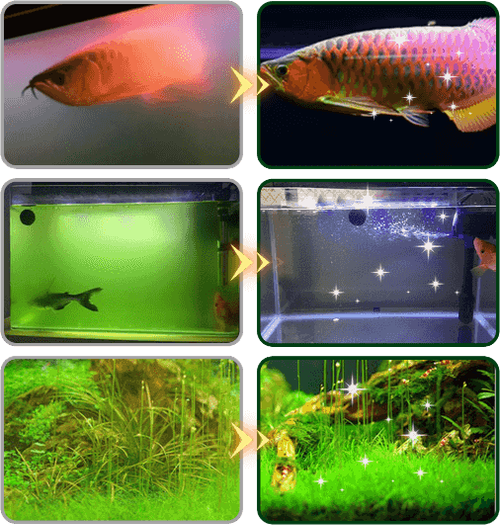 zxb⚡ Aquarium Water Purification Tablets – Clears Cloudy Water & Removes Chlorine
