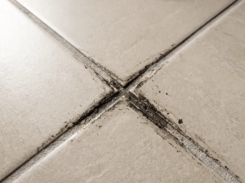zzx Mold Stain Cleaner for Bathroom Tiles and Grout