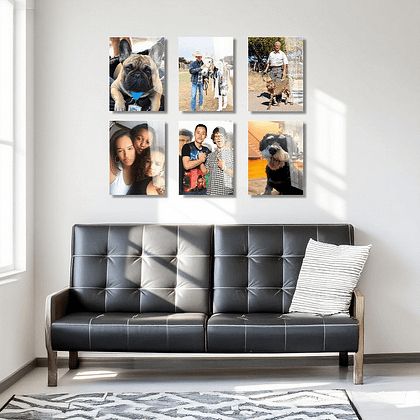 Super Six Collection 6-Pack