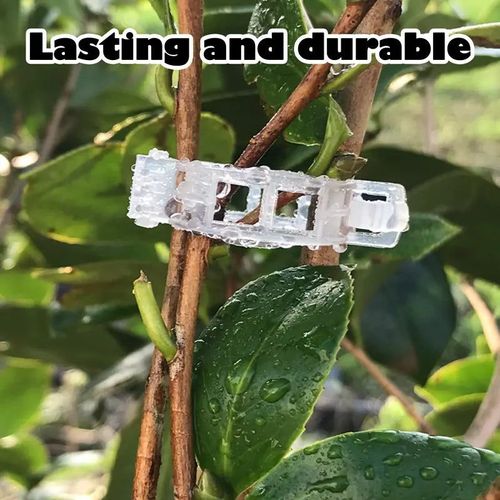 Plant Support Clips