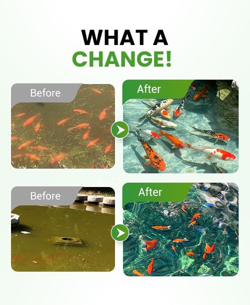 500g Premium Pond Care Powder | Water Clarifier & Algae Control 🐟🌊🔬