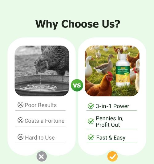 🐓Poultry Multi-Symptom Oral Solution – Treats Respiratory, Digestive & Immune Issues in One Dose!🐔💦