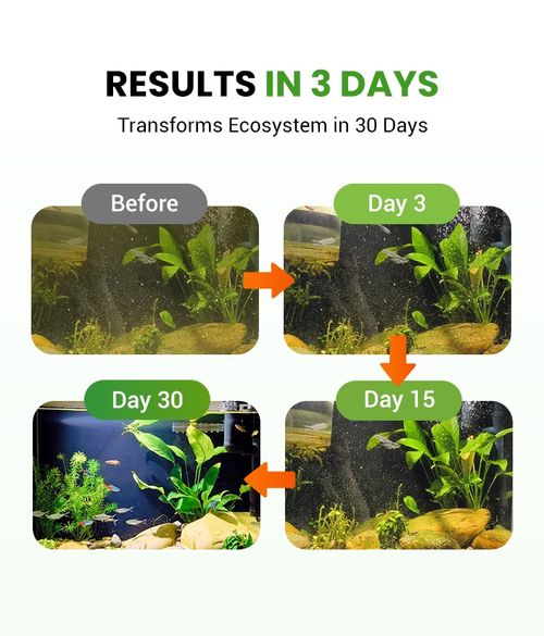 500g Premium Pond Care Powder | Water Clarifier & Algae Control 🐟🌊🔬