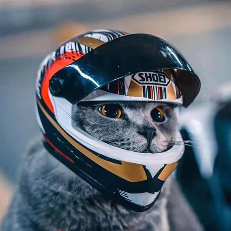 🐶🐱 Pet Motorcycle Helmet | Mini Cool Gear 🏍️✨