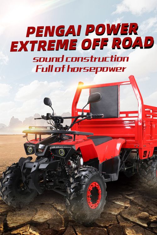 2023 Powerful 125cc Atv and Quad Bike Safety Four Wheeler for Adults Cuatrimotos 4x4 Farm Atv with Trailer