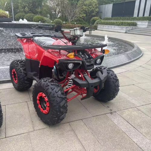 Tao Motor 2025 Chinese Wholesale 125cc 4 Wheeler Side by Sides 4x4 Quad Bike 200cc ATV with EPA CE