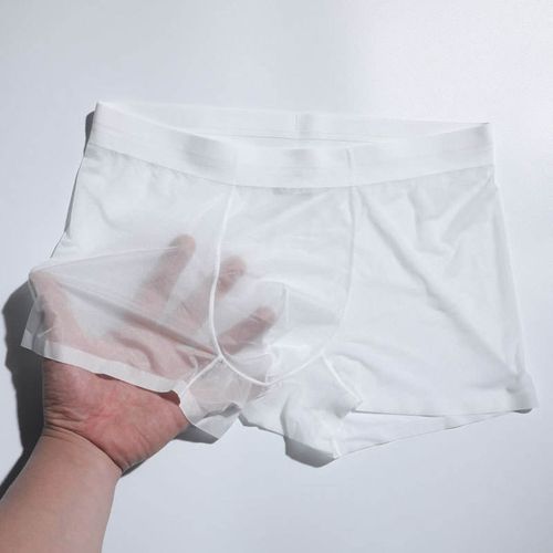 New Sexy Underwear Jacquard Boxer Underwear Men Ultra-Thin Transparent Underwear Breathable XXL 3XL Classic Adults