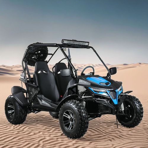 150cc 200cc 250cc 300cc Gasoline off Road Beach dune Buggy Cross Go Karts for Adults