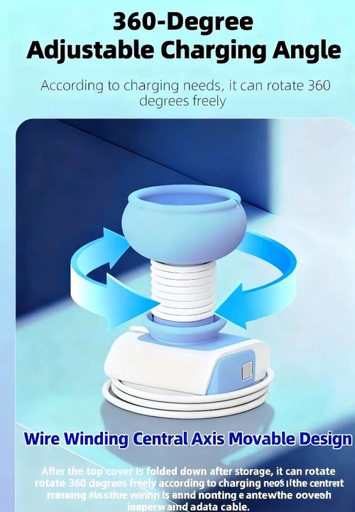 Cartoon Charger Data Cable Organizer