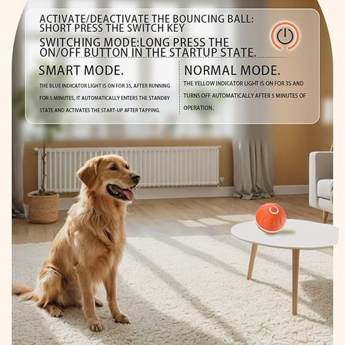 Pet Smart Bouncing Ball