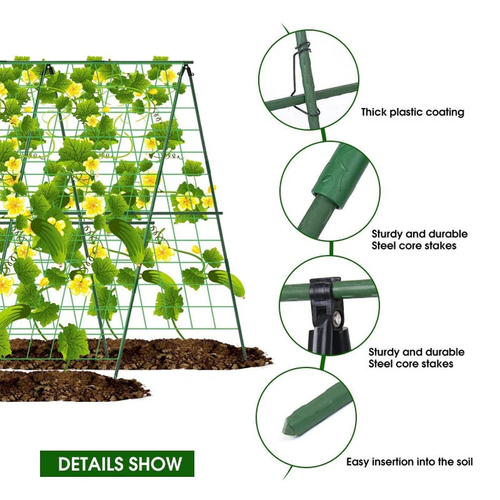 A-Frame Garden Trellis