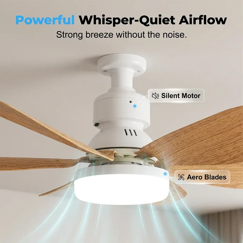 Time-Limited Special n-in-1 Smart Ceiling Fan Light