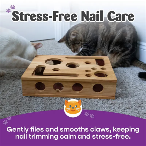 🎁😻✨Cat Scratch Puzzle Enrichment Box: Nail File Stress Free Alternative to Clippers and Grinders