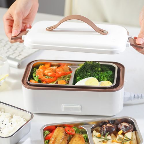 Double-layer multifunctional electric lunch box