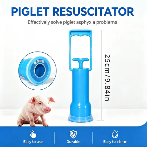 2pcs Piglet Resuscitator Newborn Pig Aspirator Pump Livestock Pig Farm Breeding Tool for Suckling Pig Mucus & Amniotic Fluid Suction