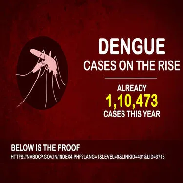 2 piece Electric Shock Mosquito Killer Night Lamp - BOGO