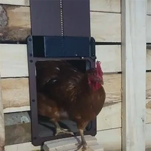 Automatic Chicken Coop Door Anti Pinch Electric Metal Opening Closing for Farm Management Tool Farm